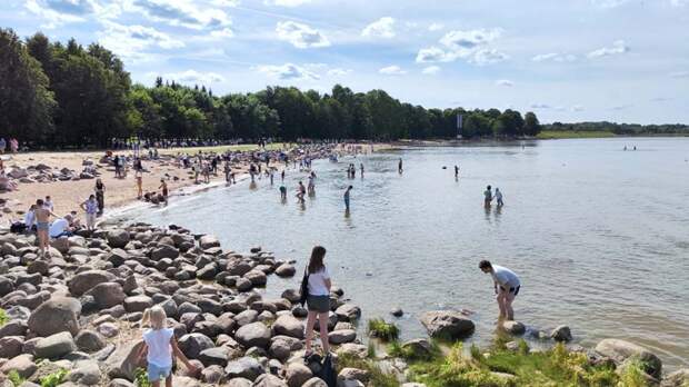 В Петербурге напомнили о правилах отдыха на пляжах Курортного района