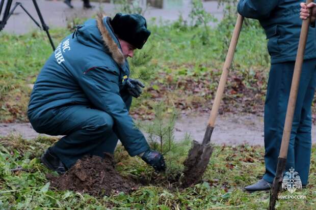 Спасатели МЧС в честь 35-летия ведомства высадили сосновую аллею в Липках