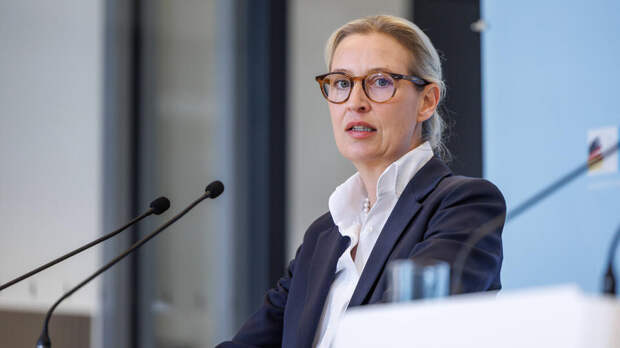 Лидер АдГ Вайдель выступила против создания единой армии Евросоюза