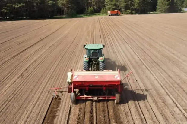 Аграриям Поморья выделят свыше 446 млн субсидий