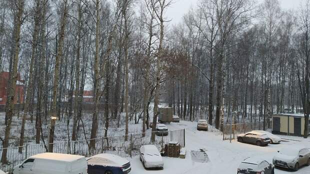 Облачность и до +1 градуса ожидается в Московском регионе во вторник
