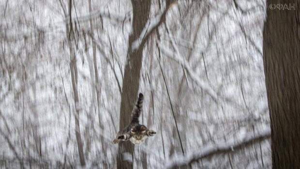 Ростовский Эйс Вентура снова спасет животных Ростовский Эйс Вентура снова спасет животных
