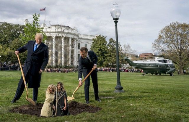 Сажающие дерево Трамп и Макрон стали героями фотожаб (41 фото)