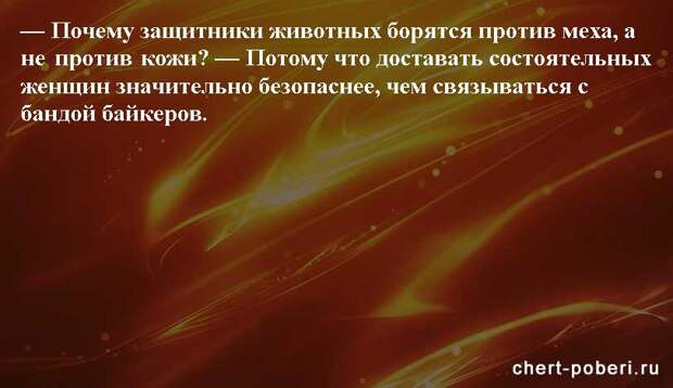 Самые смешные анекдоты ежедневная подборка chert-poberi-anekdoty-chert-poberi-anekdoty-41581112082020-1 картинка chert-poberi-anekdoty-41581112082020-1