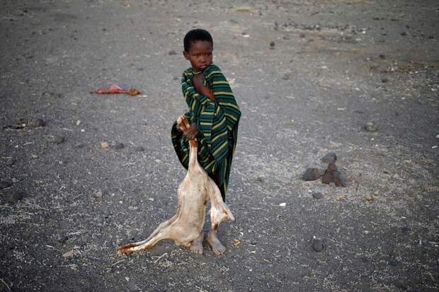 Кенийцы жгут животных, чтобы избежать эпидемии