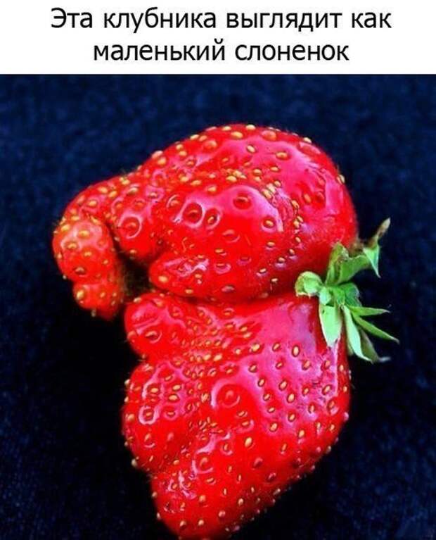 P7hlgv7CmCY