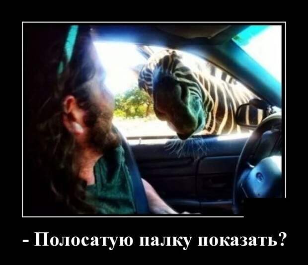 www.vsyako.net
