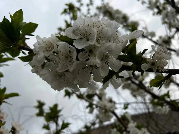 Новогодние съели майские: россияне в шоке от нового календаря 2026 года