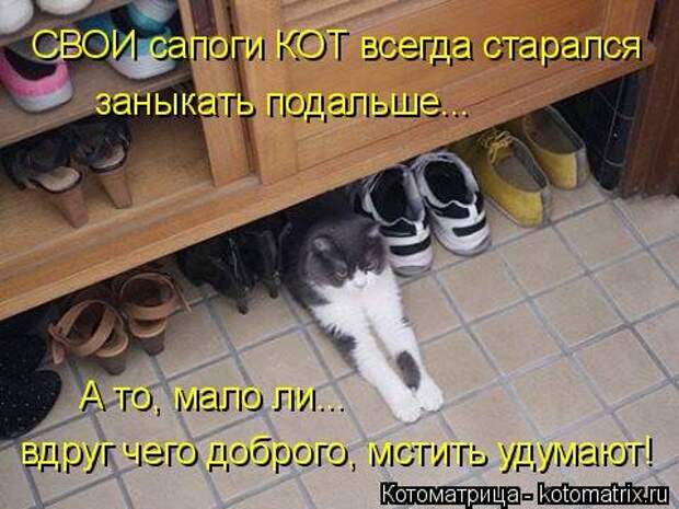 1474017321_kotomatricy-17