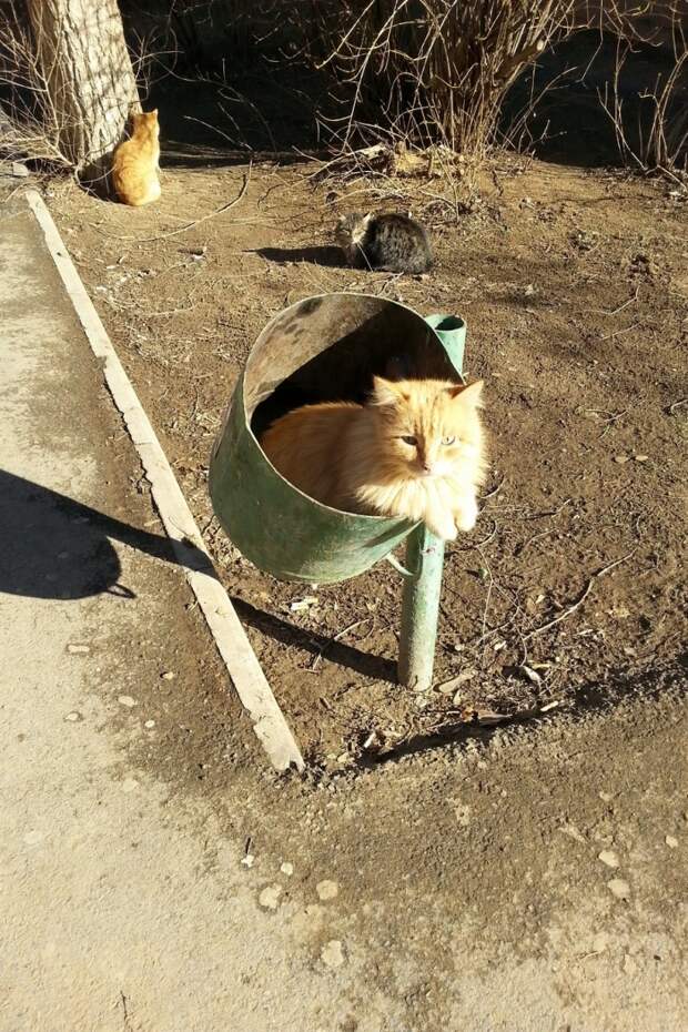 Фотоподборка