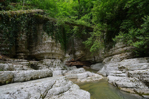 В нацпарке Сочи и Кавказском заповеднике нашли нарушения на 3,5 млрд рублей