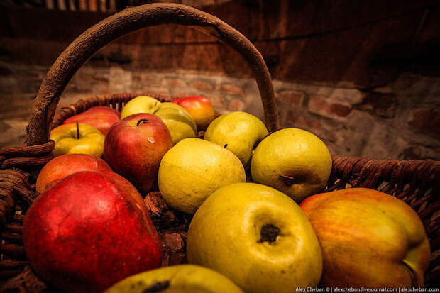 Время собирать яблоки или как делают Кальвадос