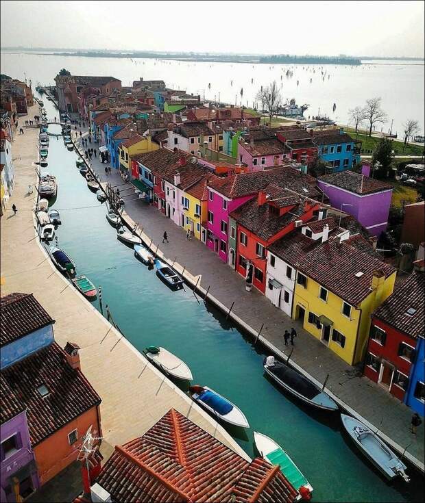 фото приколы