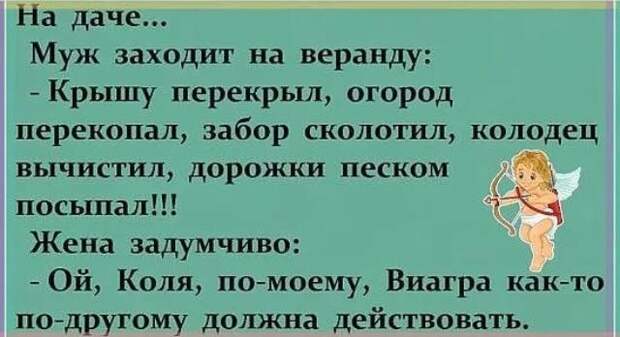 Правду говорить лучше всего из танка Правду говорить лучше всего из танка