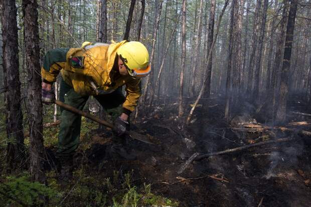 Власти ХМАО из-за ухудшения ситуации с лесными пожарами запросили у Рослесхоза дополнительную помощь для их тушения