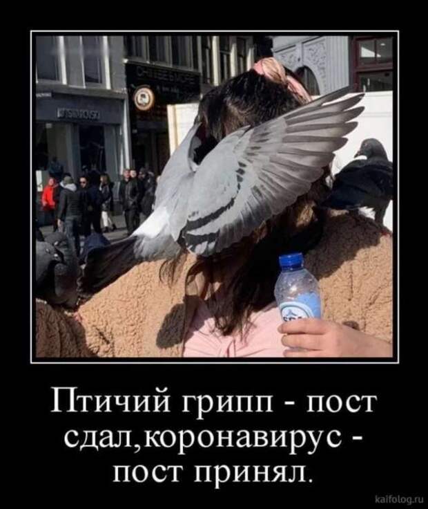 Демотиваторы про коронавирус с надписями. Подборка chert-poberi-dem-koronavirus-chert-poberi-dem-koronavirus-37280203102020-4 картинка chert-poberi-dem-koronavirus-37280203102020-4