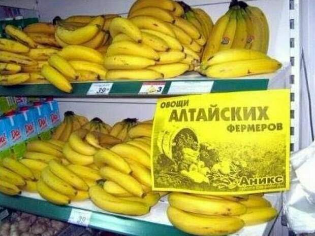 Так вот они какие, алтайские овощи Так вот они какие, алтайские овощи