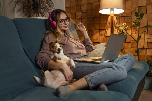 kp.ru: 78% россиян одобрили идею ограничить число питомцев в квартирах