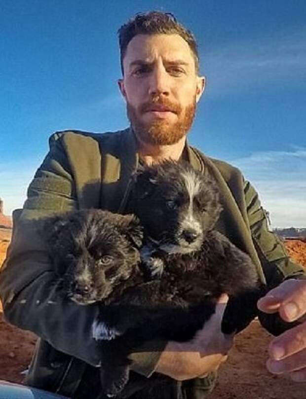 Путешественник спас двух бездомных щенков и объехал с ними всю Америку Счастливый конец, доброе сердце, по планете с собаками, путешественник, путешествие, собаки, спасенные животные, сша