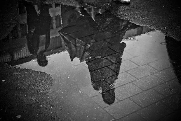 Дождь, Лужа, Воды, Зеркальное Отображение, Мокрый