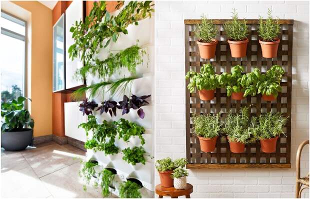 Горшки с растениями можно размещать на стене 