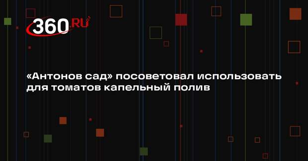 «Антонов сад» посоветовал использовать для томатов капельный полив