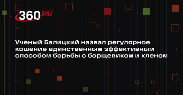 Ученый Балицкий назвал регулярное кошение единственным эффективным способом борьбы с борщевиком и кленом
