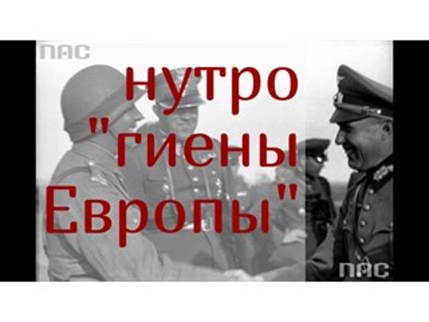 Неопровержимые доказательства: раскрыто содержание архивных документов, подтверждающих сотрудничество Польши с Гитлером