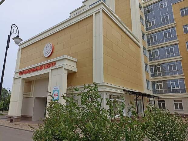 В Смоленске беременным могут стать доступны бесплатные поездки к врачам