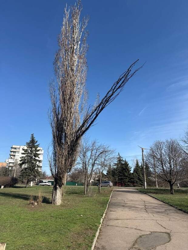 в Горняцком районе Макеевки. https://t.me/webmoney_dn/318458