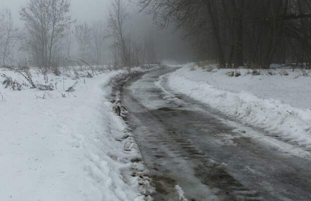 Россиянка родила ребенка и оставила в лесу завернутым в простынь