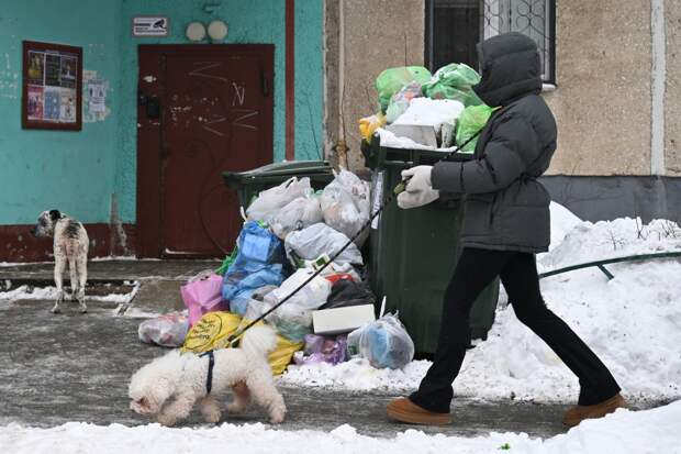 Жители российского города пожаловались на мусорный коллапс