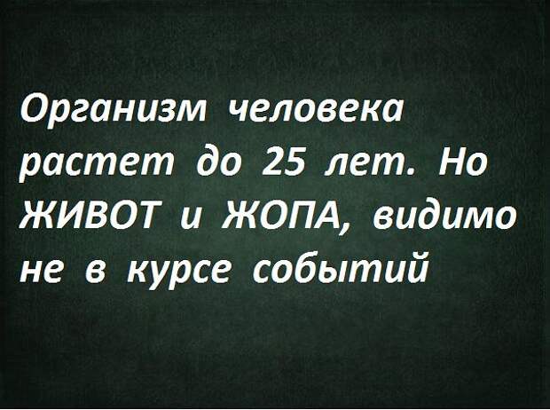 Картинки, юмор, приколы