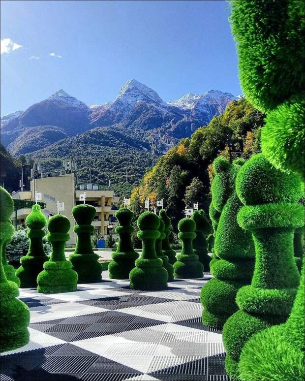 фото приколы