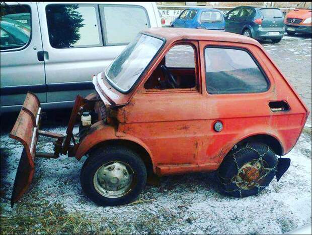 фото приколы