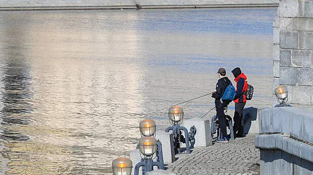 В ночь на 23 марта в Московском регионе прогнозируют до −8°C — Гидрометцентр