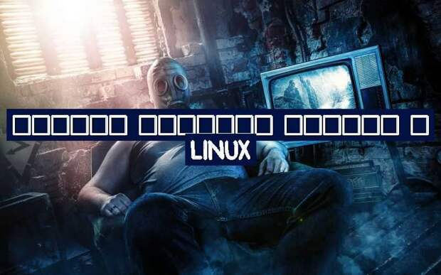 Дампим сетевой трафик в Linux