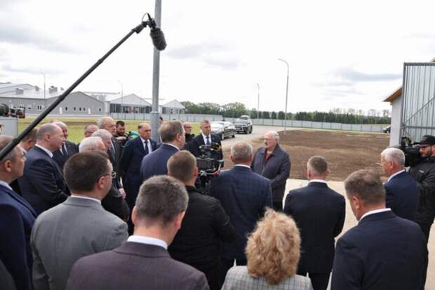 Лукашенко предупредил о риске голода в стране из-за падежа скота