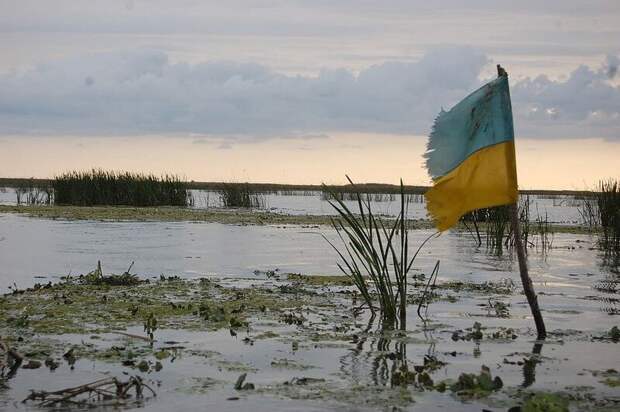 Константинов:иски Крыма к Киеву будут полезны, когда Украины не станет