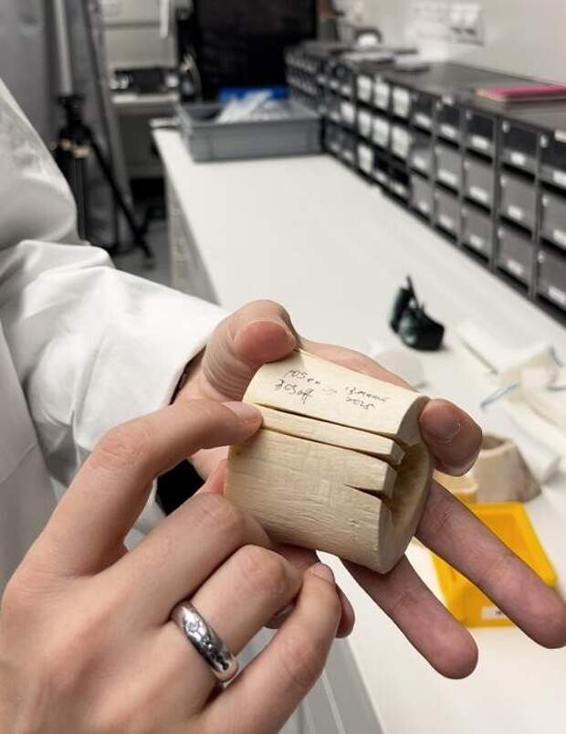 Лазер впервые научился глубже и быстрее рассекать кости