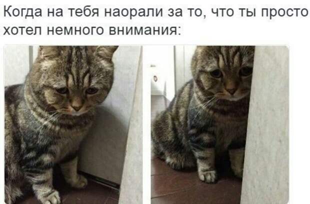 Смешные комментарии из социальных сетей прикол, юмор