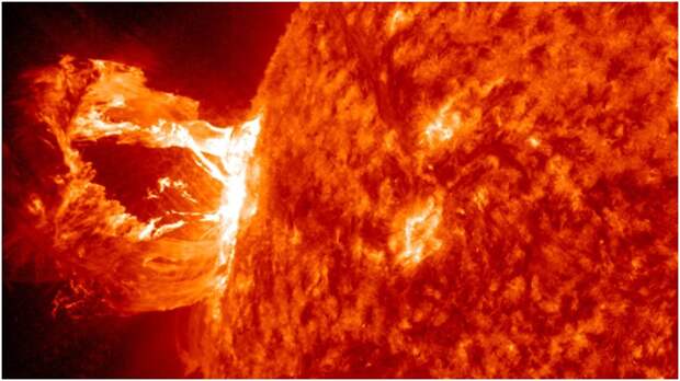 Астрономы воссоздали солнечную активность за последнее тысячелетие с помощью древесных колец