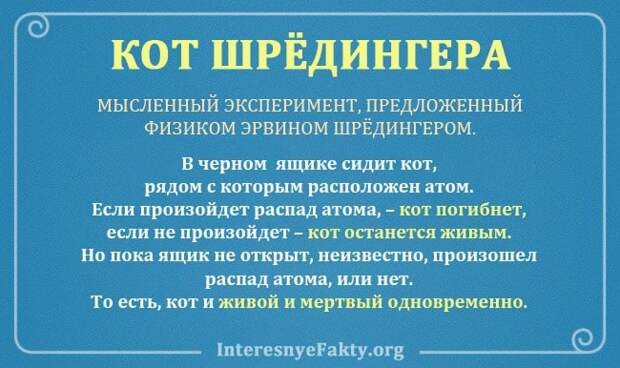 Кот Шредингера