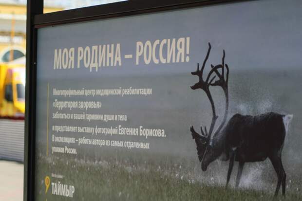 От Камчатки до Таймыра. Выставка известного фотографа открылась в Барнауле