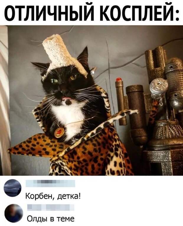 Смешные комментарии из социальных сетей