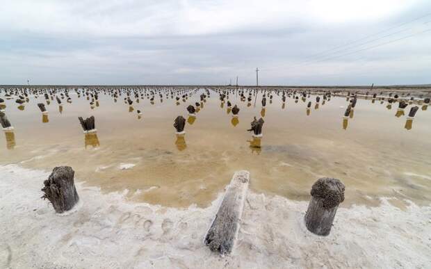 А знаешь, в чём соль? В озере Баскунчак! баскунчак, вода, озеро, соль, эстетика