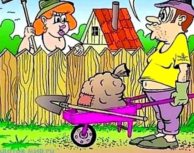 Сосед, ты не прав! или Отдайте мою собаку