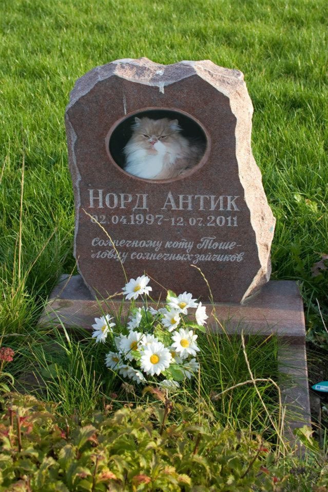 Кладбище домашних животных Кладбище домашних животных, грызуны, кошечки, попугайчики, собачки, фоторепортаж
