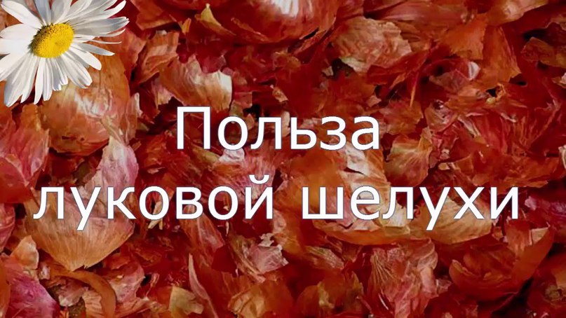 Луковая шелуха, как удобрение.