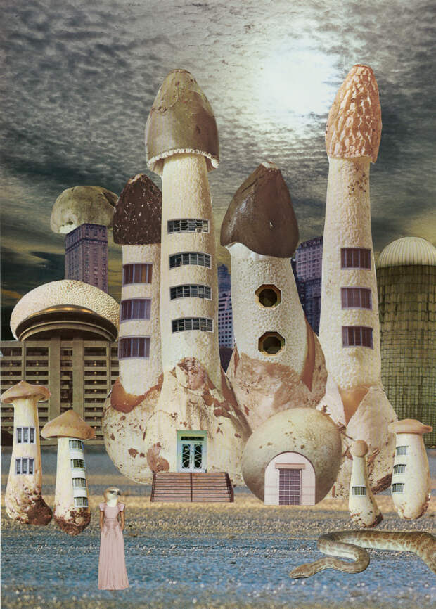 mushroom-city-733x1024.jpg mushroom-city-733x1024.jpg
